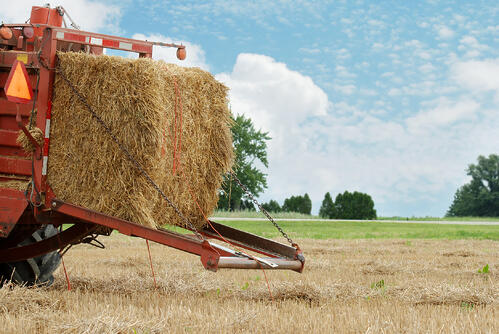 Before you bale and store your hay, it's important to check its moisture content!