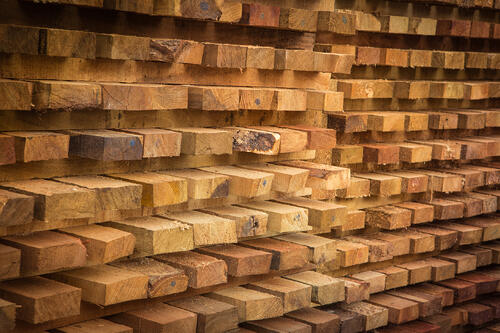 acclimation_of_wood
