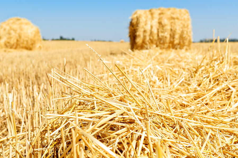 hay_bales